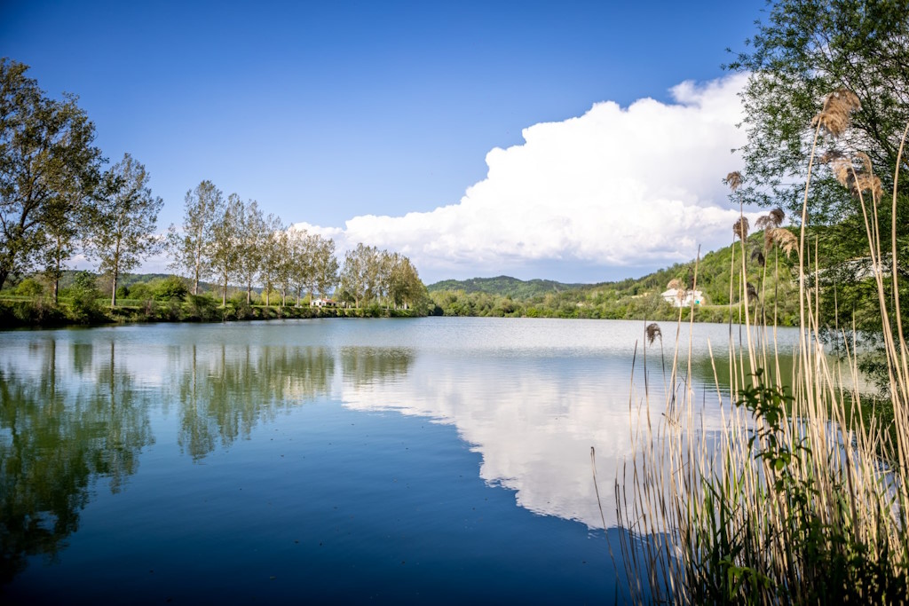 The first Hook&Cook Festival in Central Istria: music, gastronomy and entertainment at the Pale near Cerovlje 17 August 2024